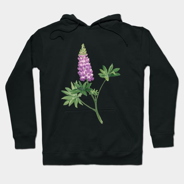 November 2nd birthday Hoodie by birthflower